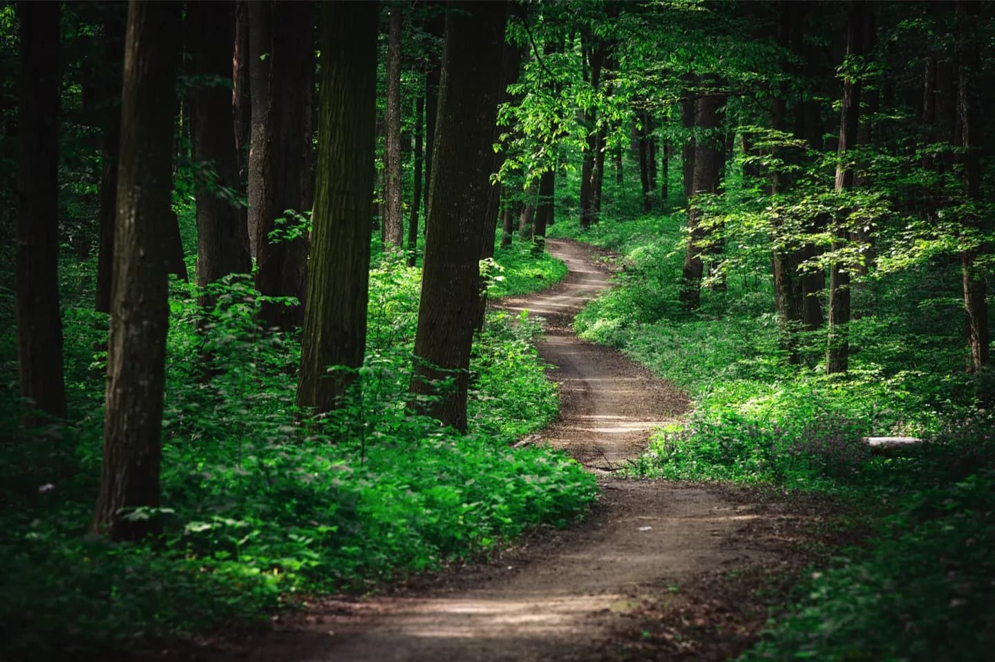 Radnor Lake State Park and Natural Area · 2