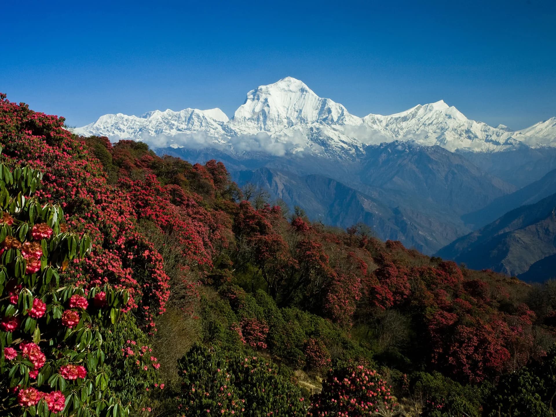 Nepal · original destination photography