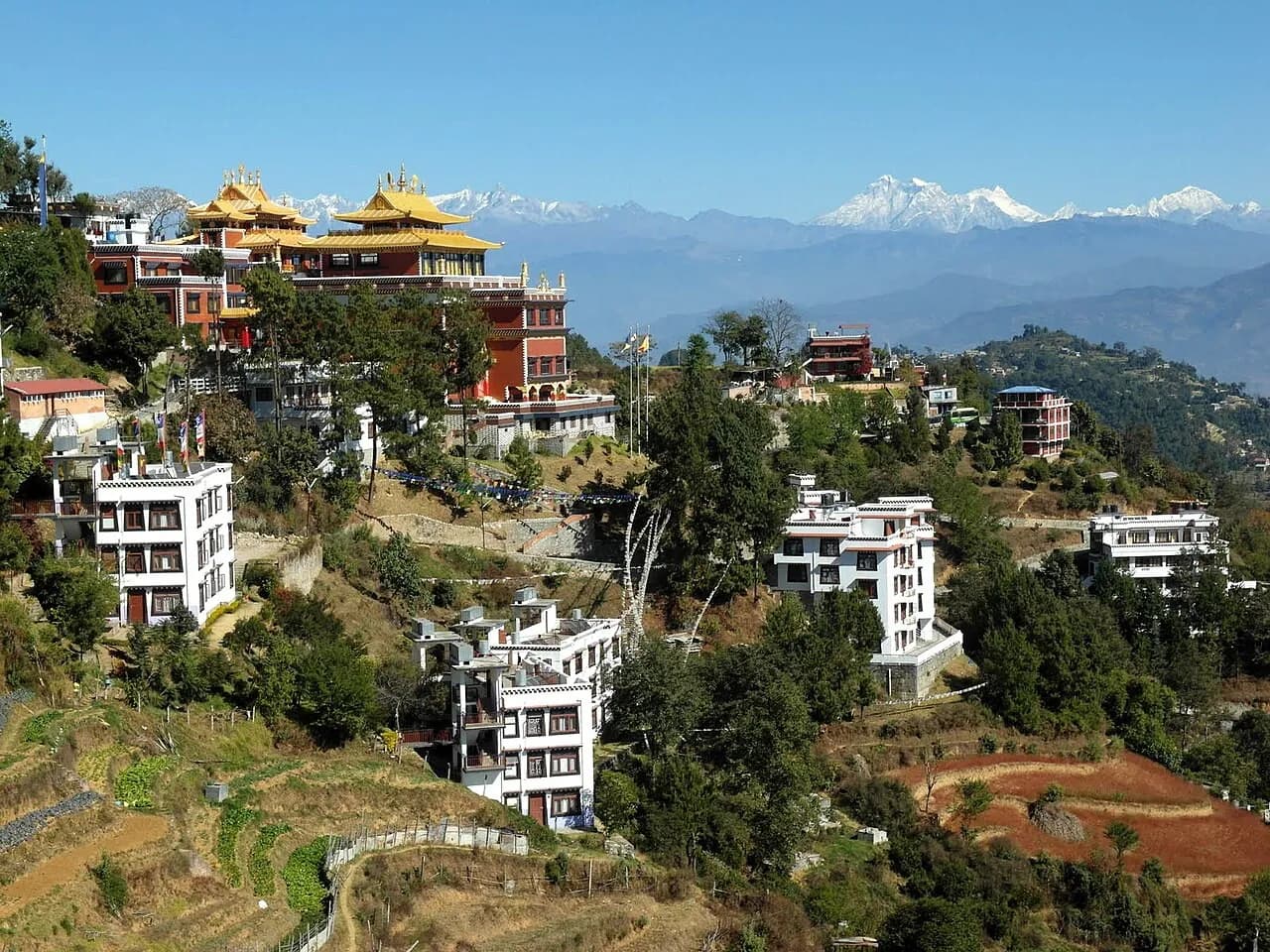 Thrangu Tashi Yangtse Monastery (Namo Buddha)