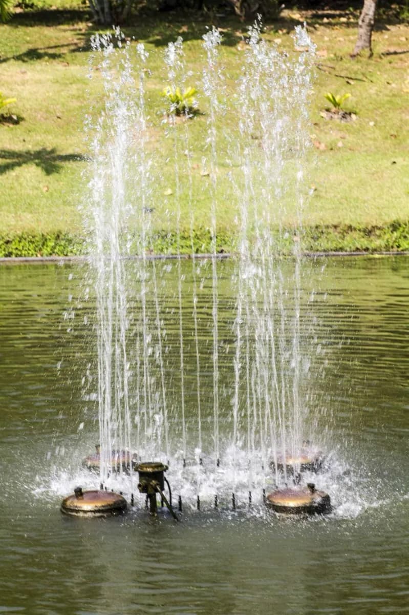 Parque Audubon · 2