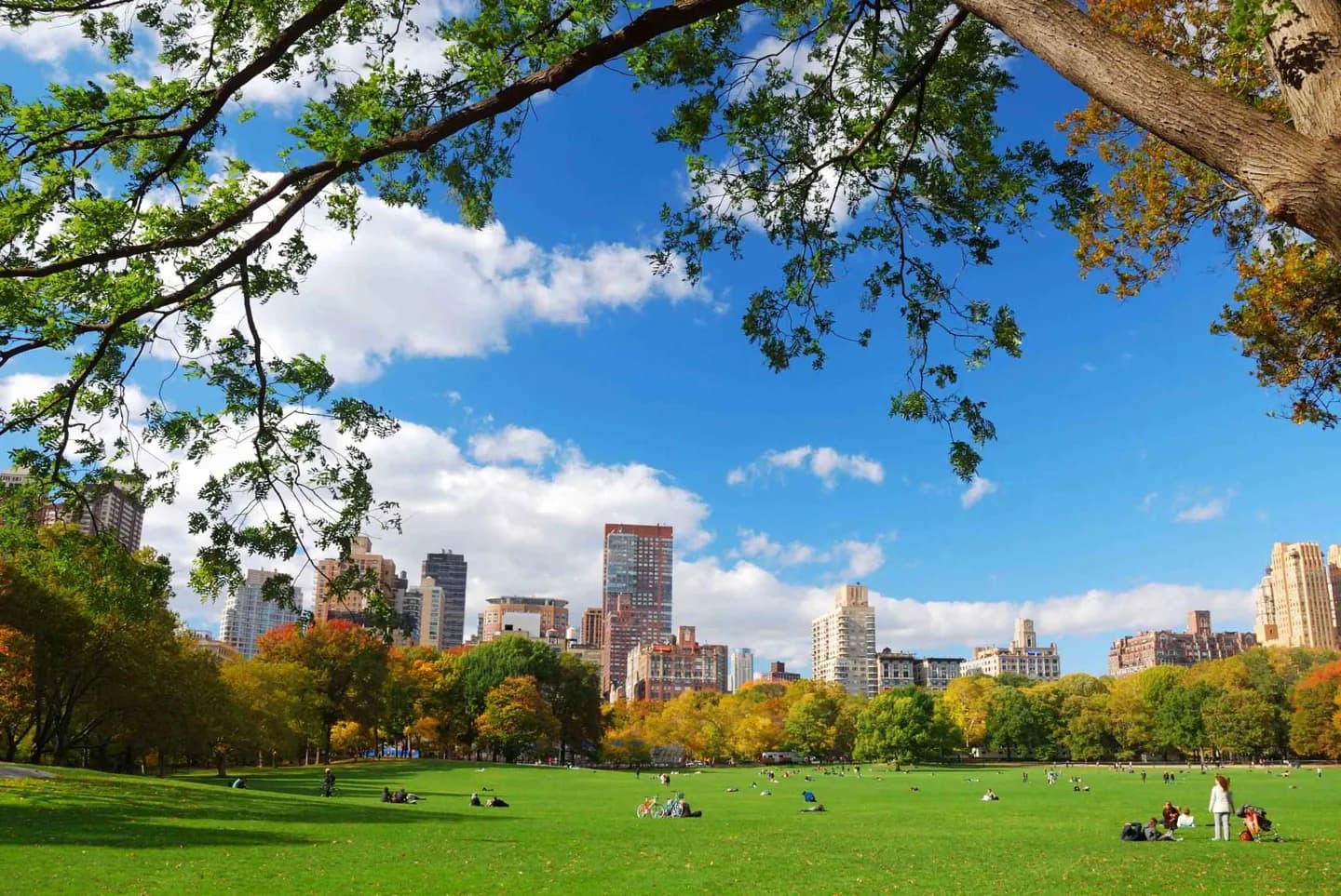New York City Weather and Seasons