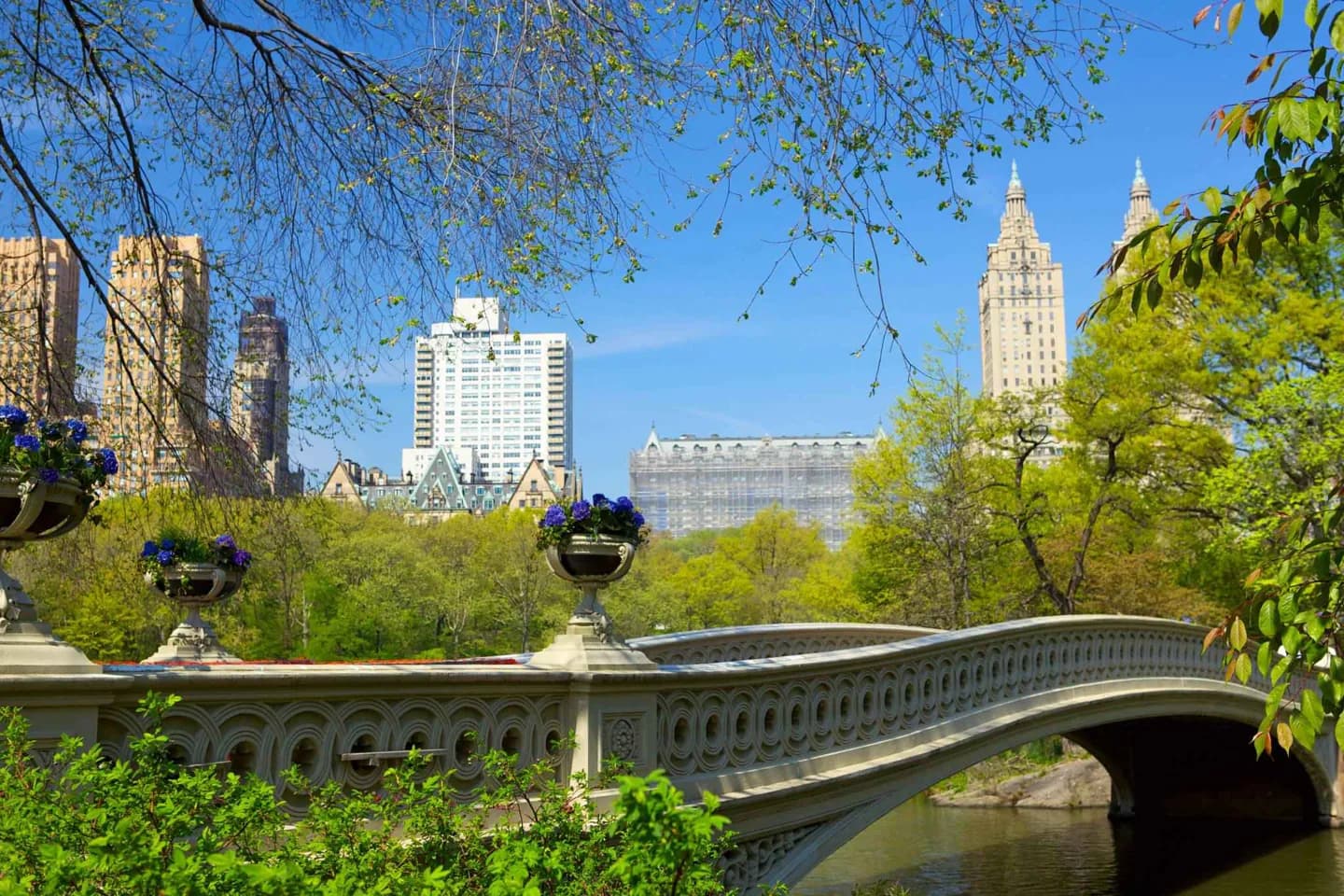 El paseo marítimo y el medio ambiente de Nueva York · 2
