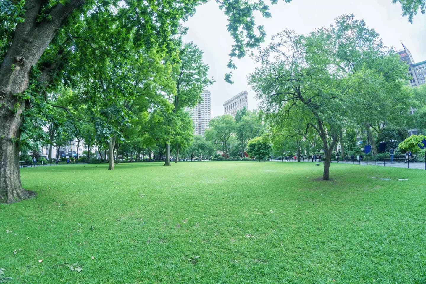 Madison Square Park · 2