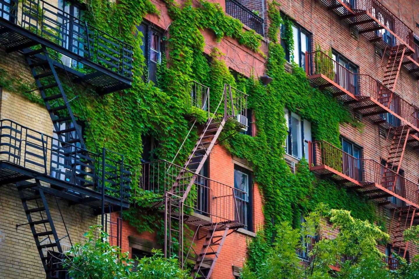 SoHo · 2