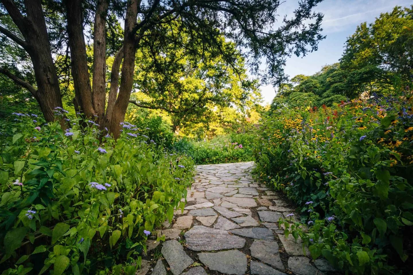 Shakespeare-Garten · 2