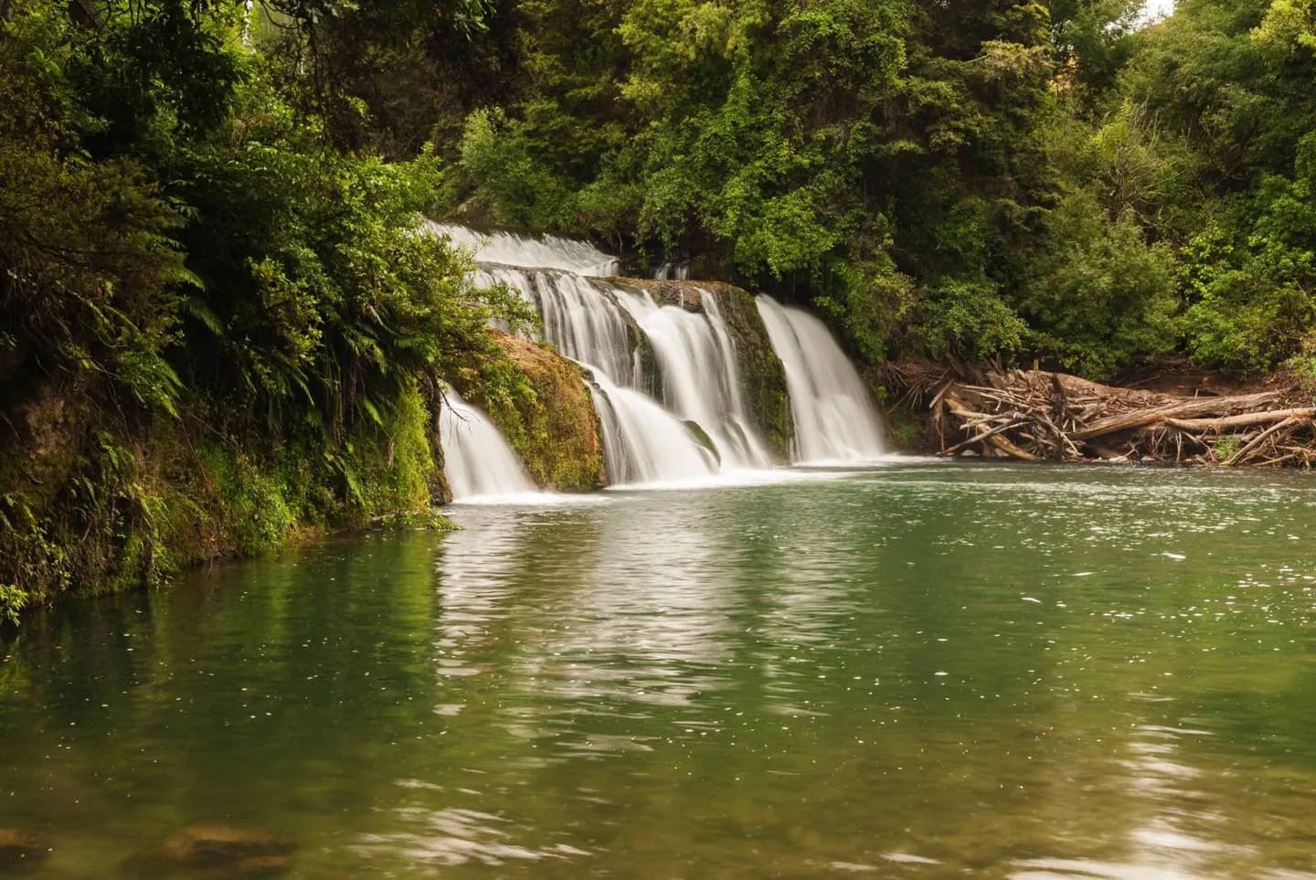 Hawke's Bay · 2