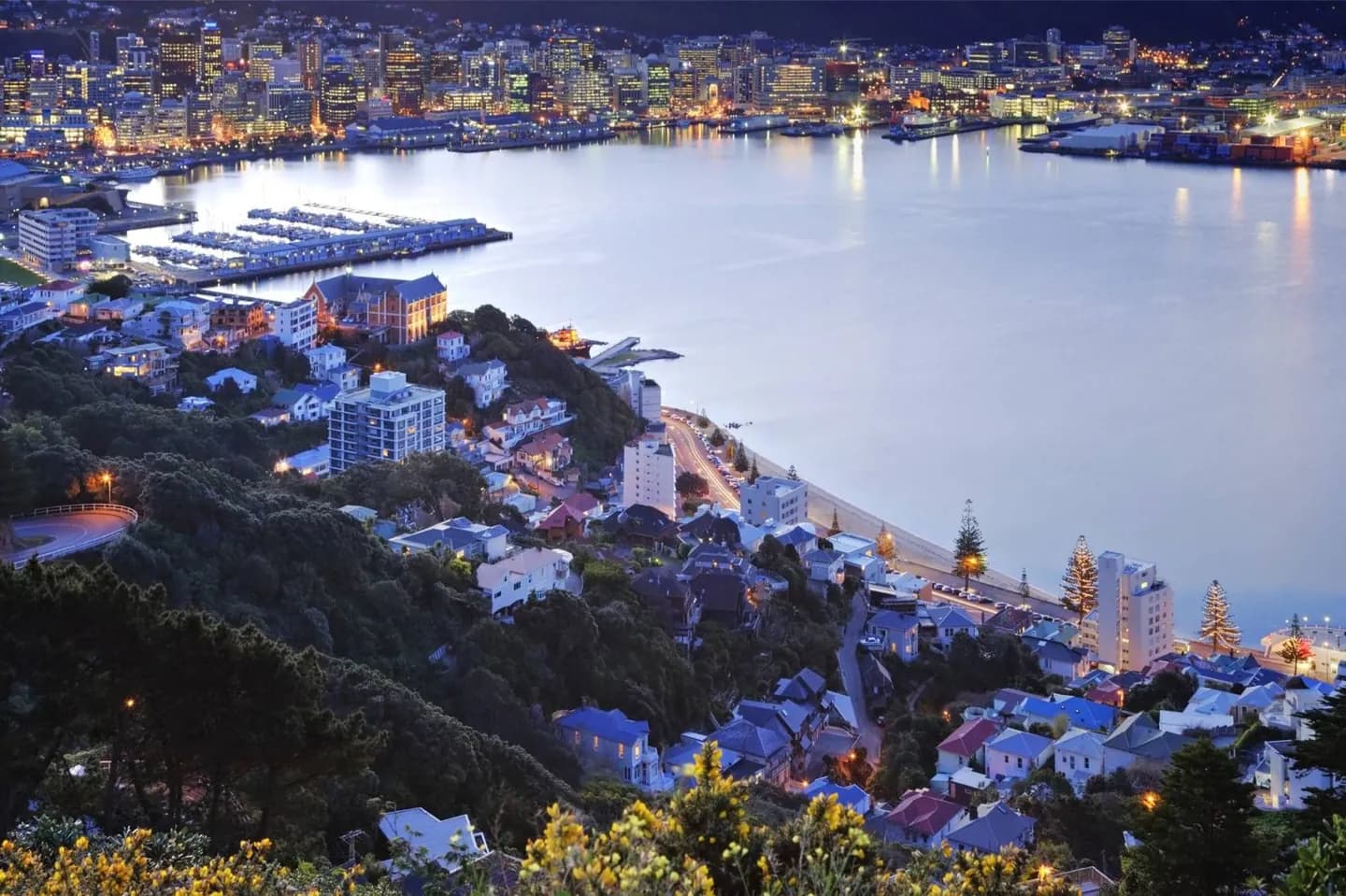 Wellington