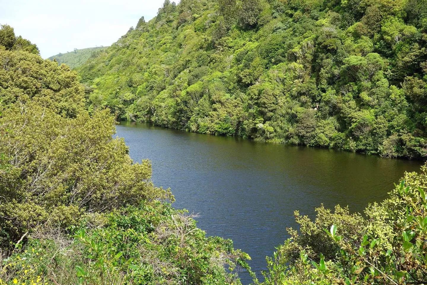 Zealandia Te Māra a Tāne