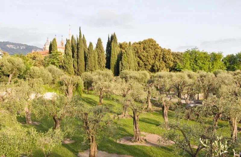Jardin des Arènes de Cimiez