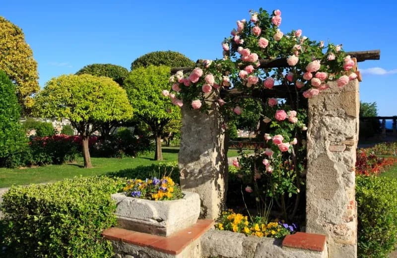 Jardin du Monastère de Cimiez