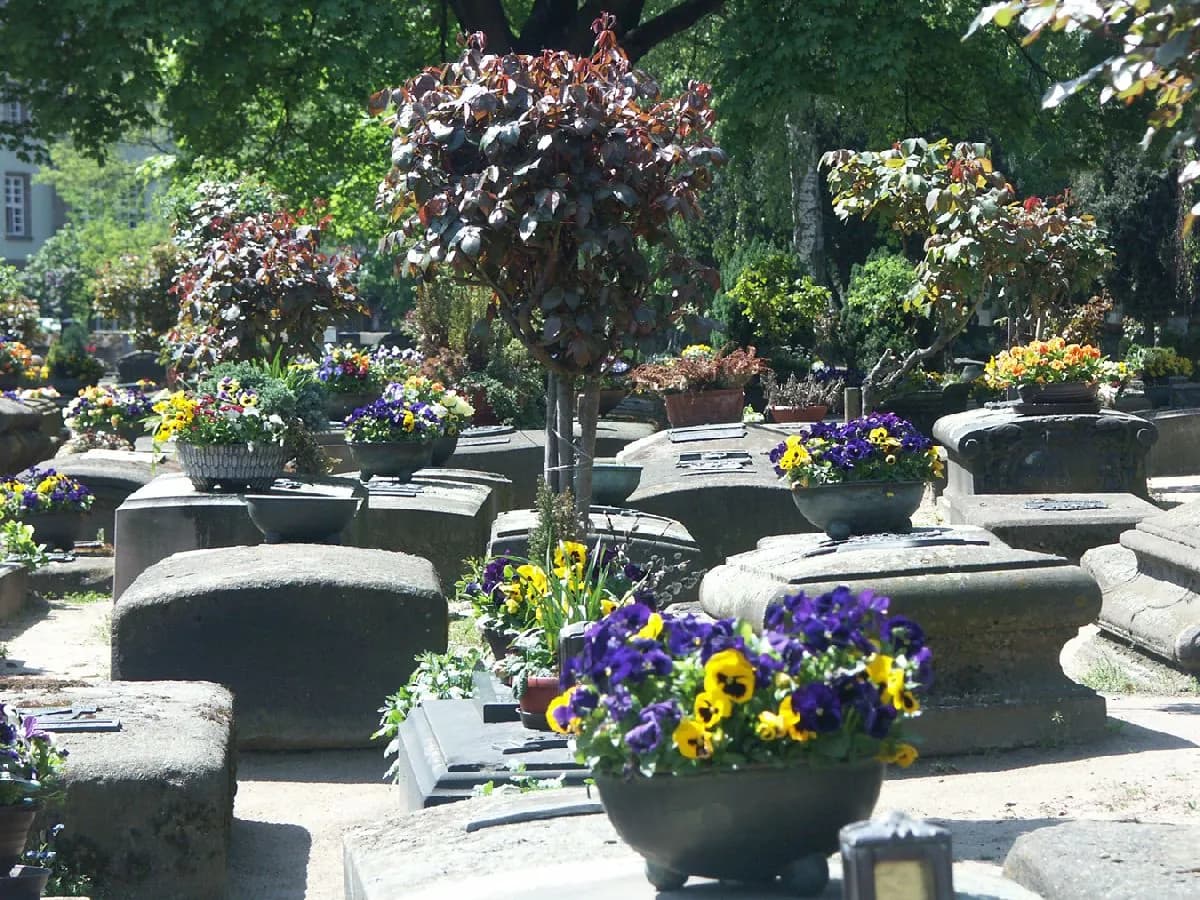 St. Roch's Cemetery