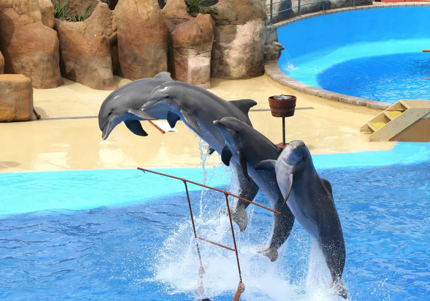 SeaWorld Orlando