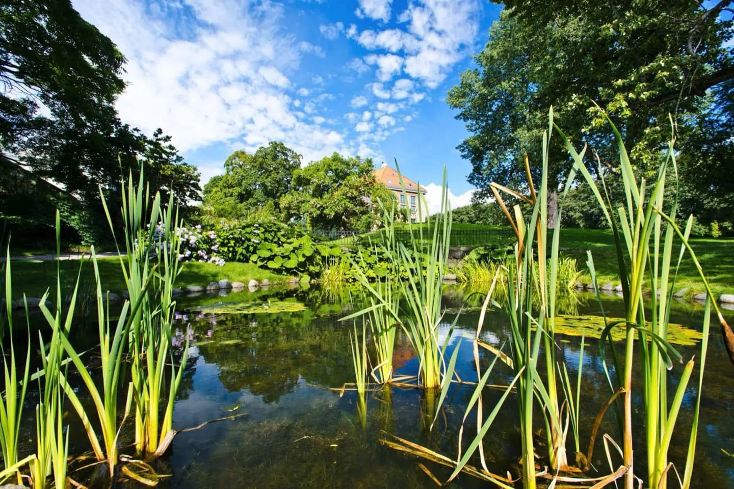 St. Parque Hanshaugen