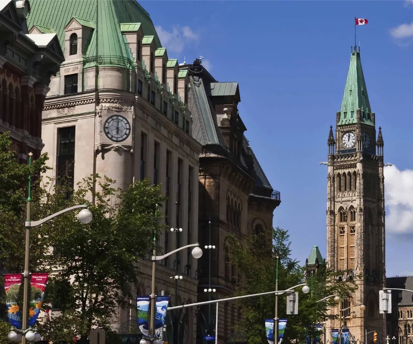 Elgin Street · 2