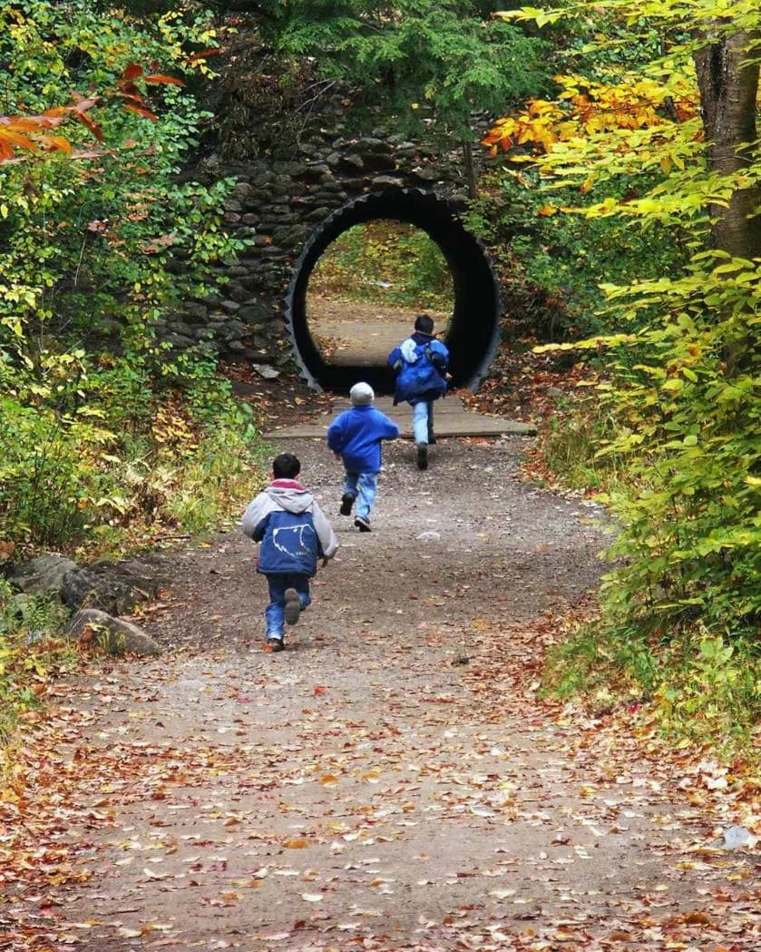 Gatineau Park · 2