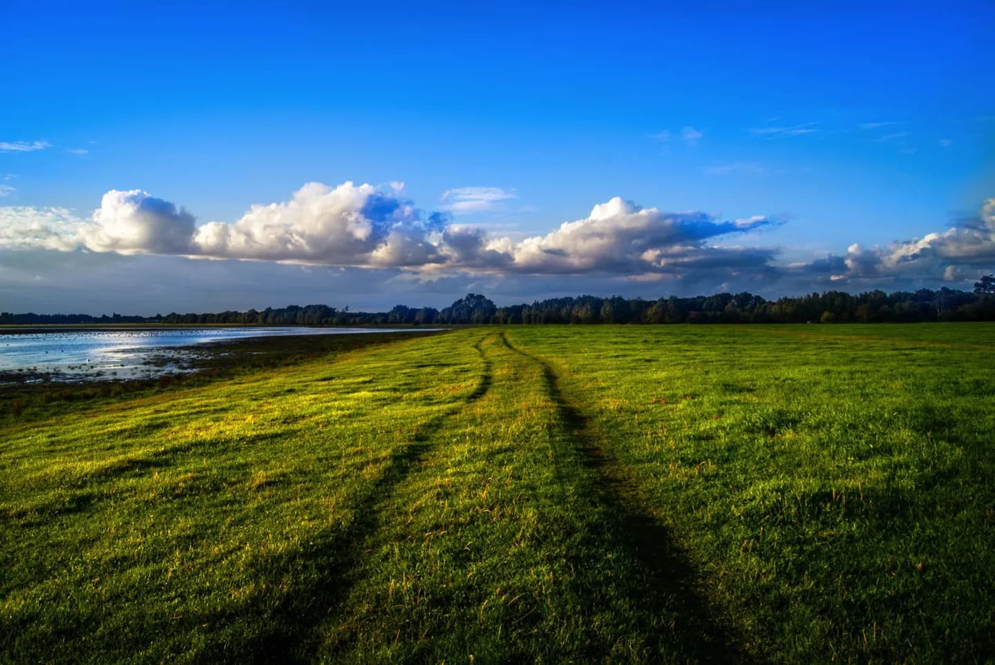 Port Meadow