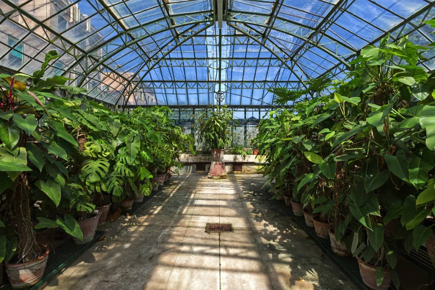 Orthobotanique de l'Université de Palerme · 2