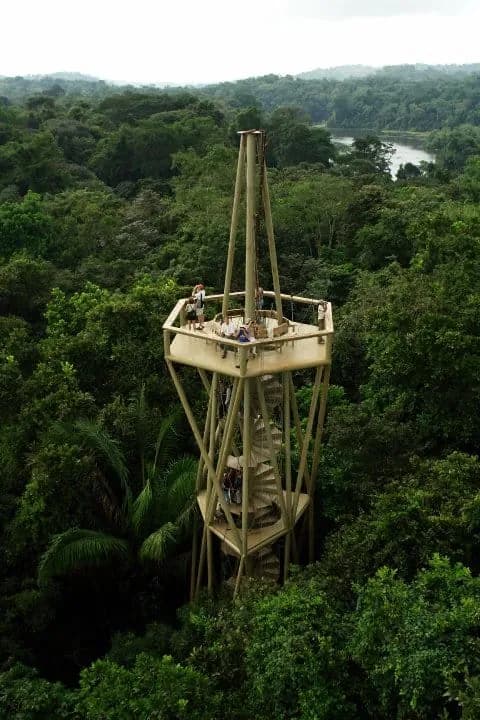 Centro de Descoberta da Floresta Tropical do Panamá