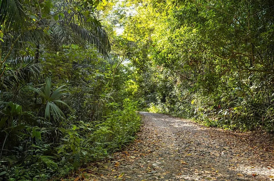 Parc national de Soberanía