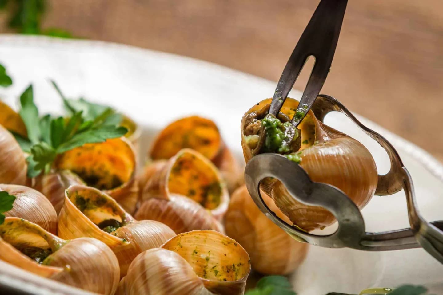 Escargot · 2