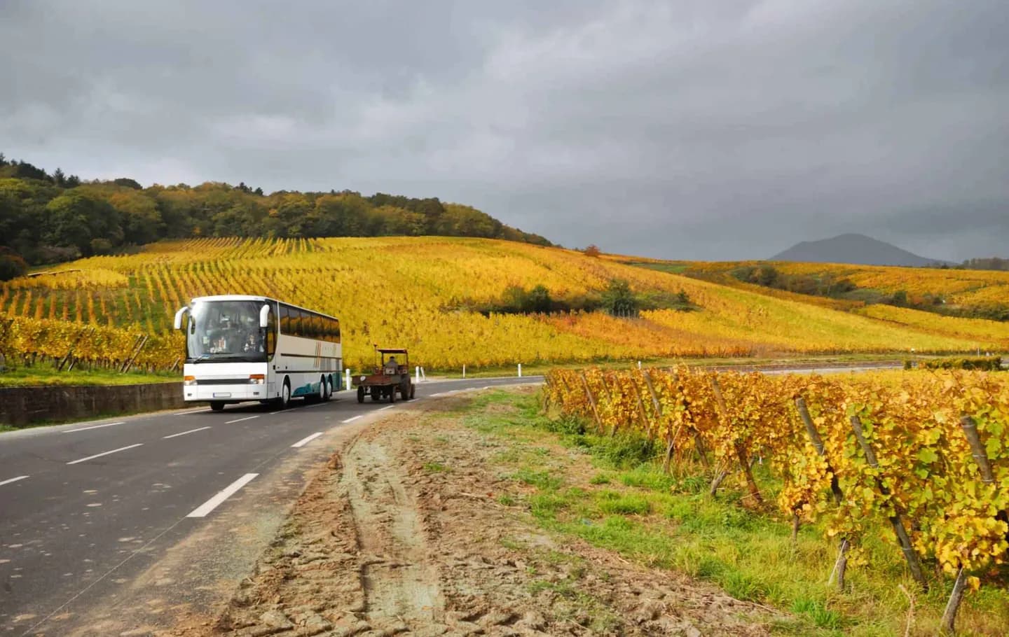 Arriving in Paris by Bus · 2