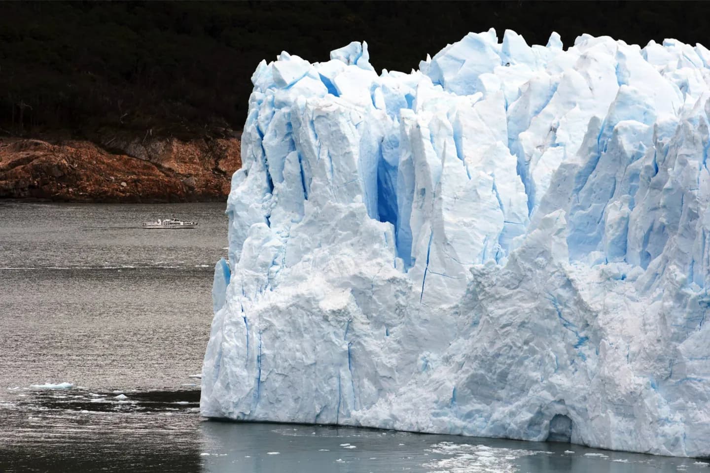 Los Glaciares的森林和草原 · 2