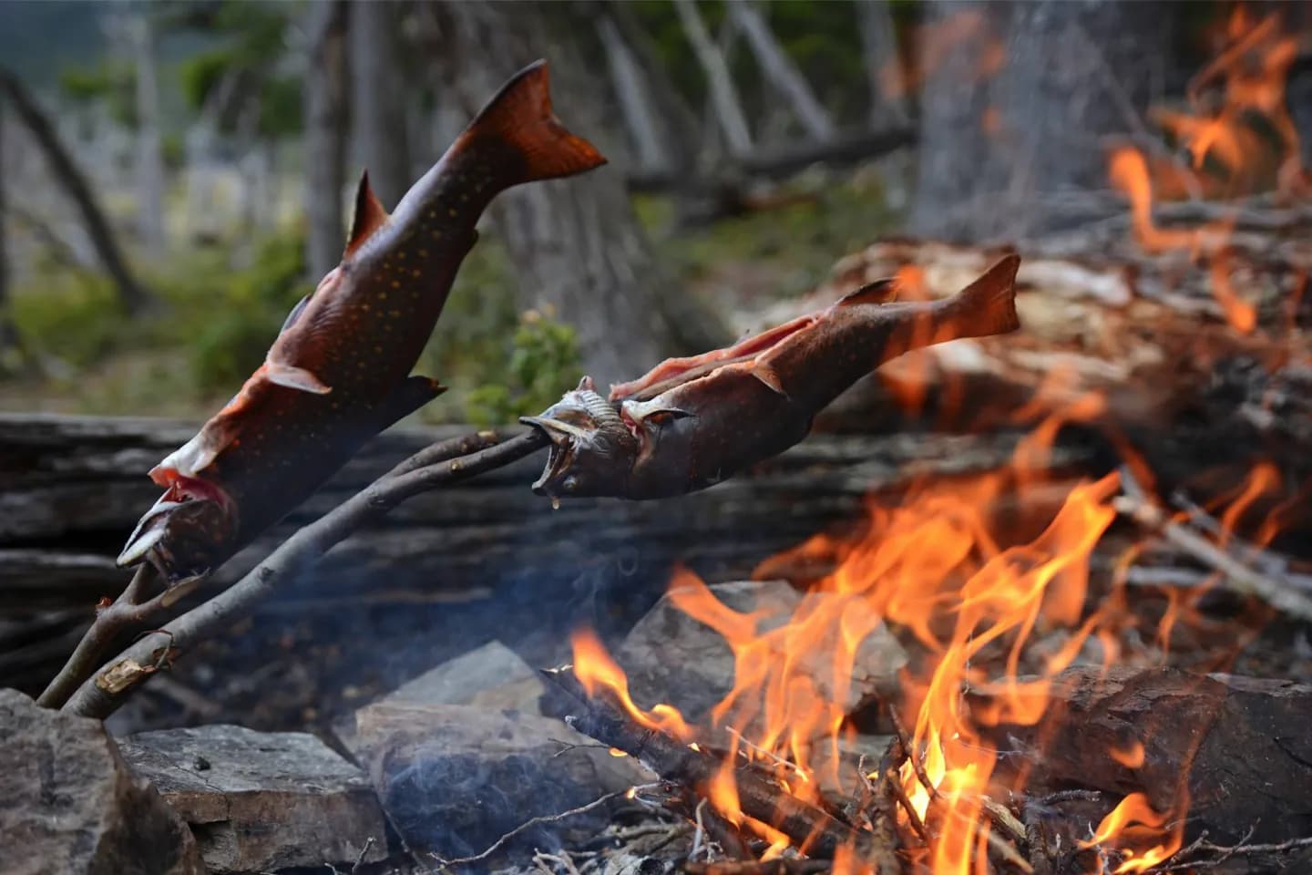 Food Traditions of Argentine Patagonia · 2