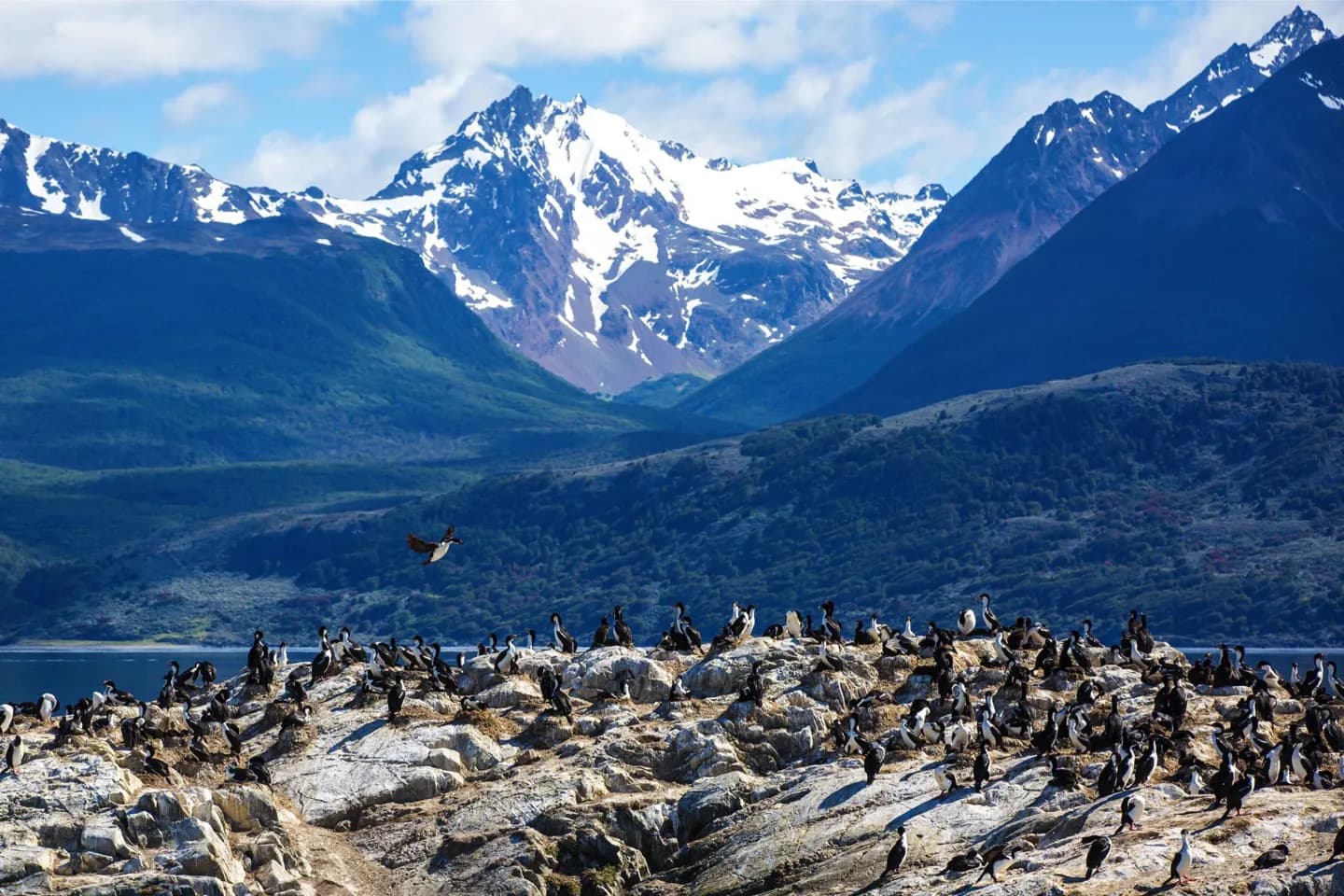 Canal Beagle