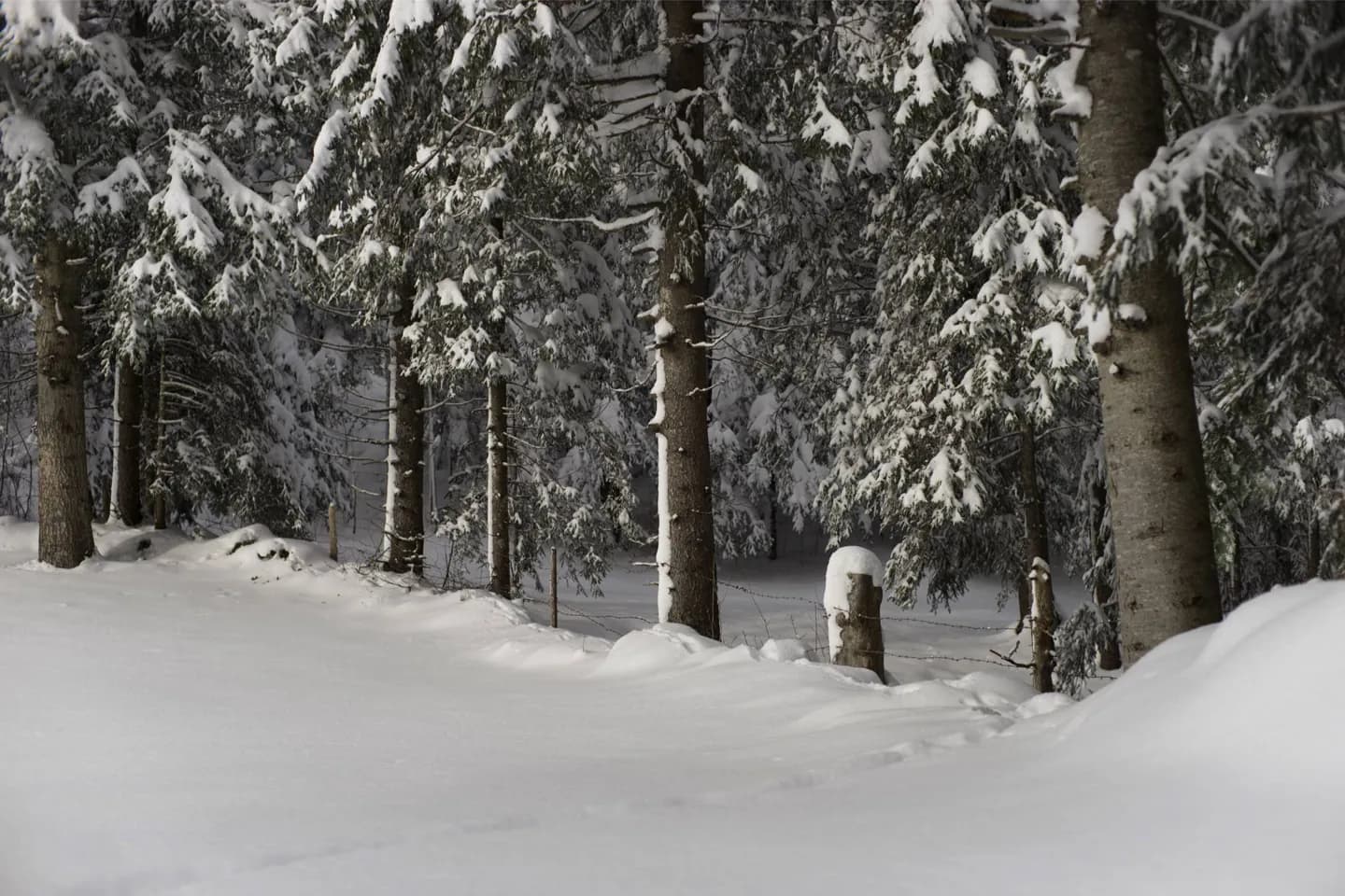 Cerro Chapelco滑雪胜地
