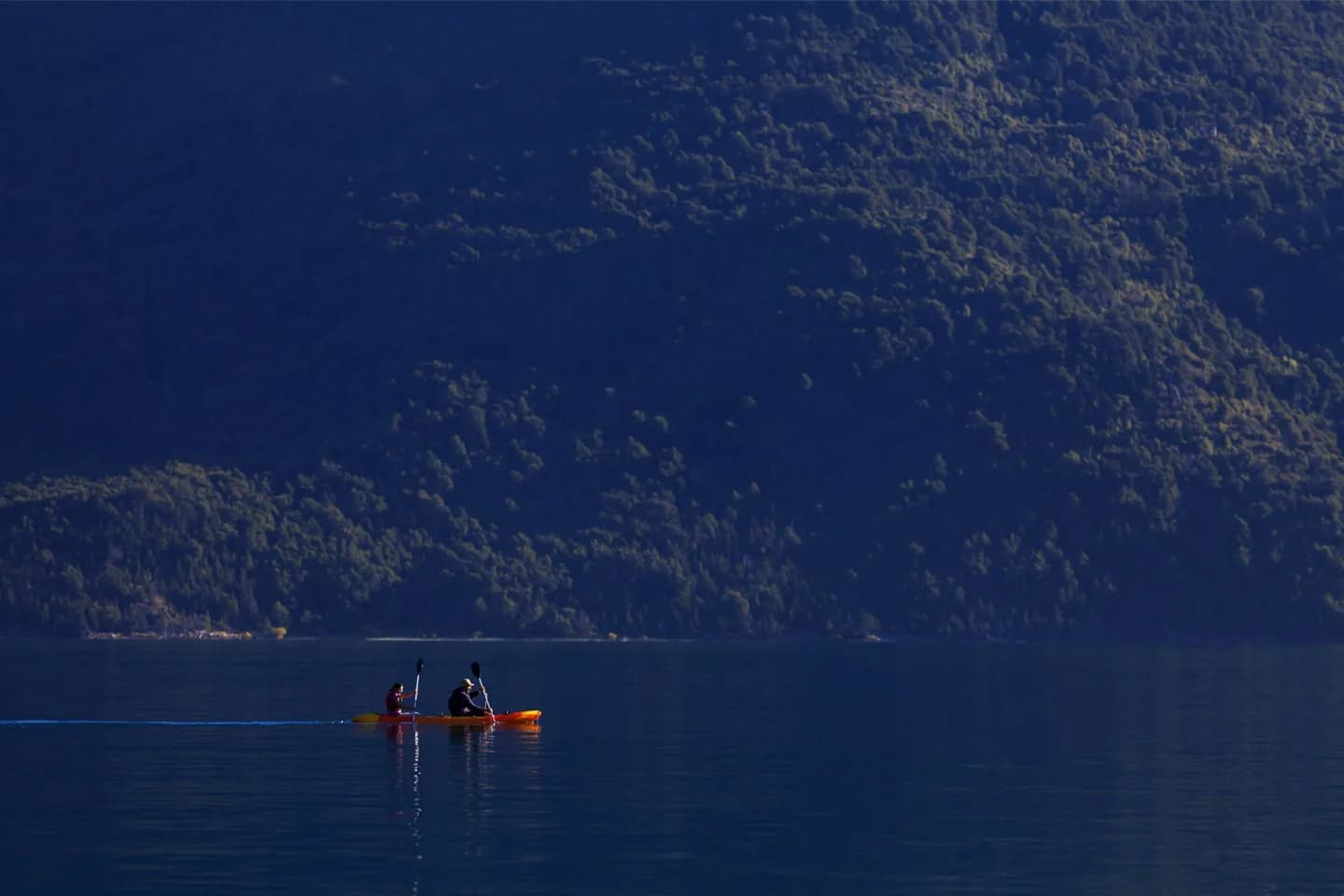 Parc national du Lago Puelo · 2
