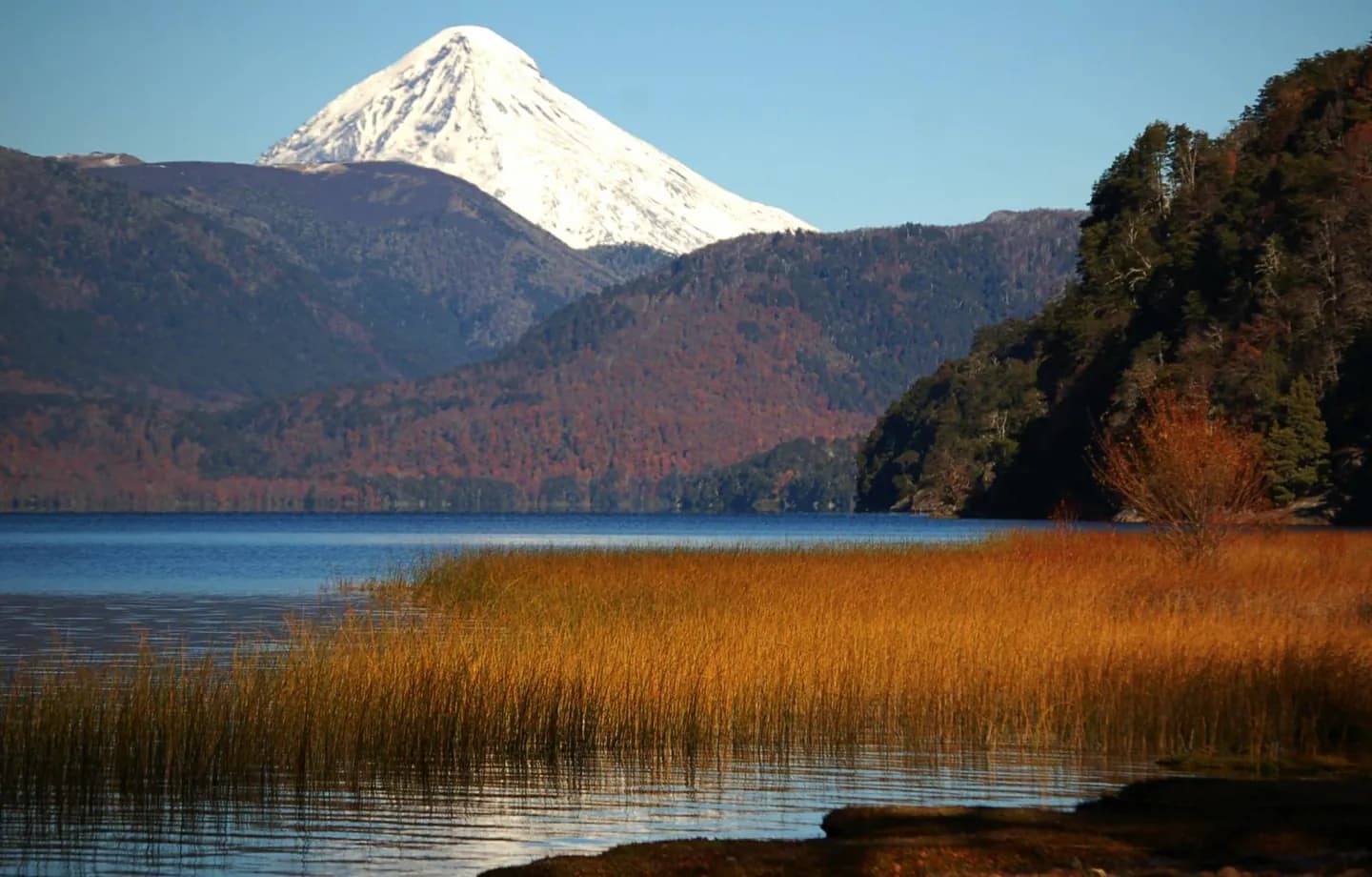 Lanín National Park · 2
