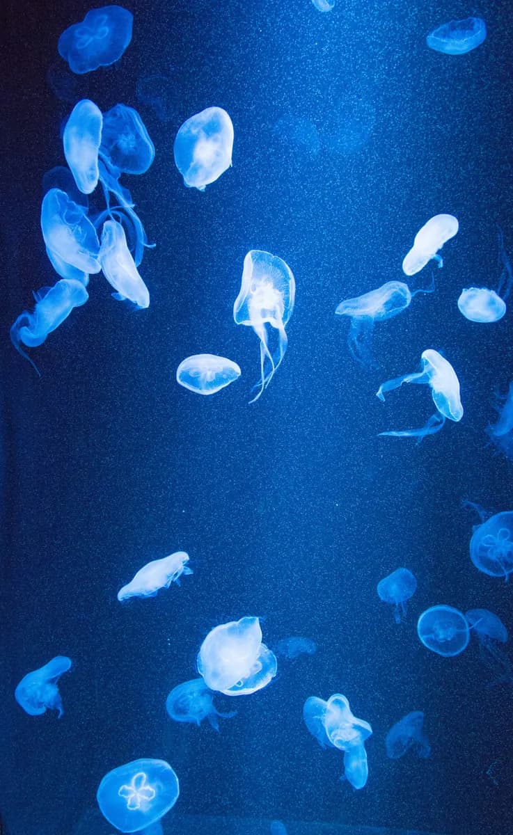 Underwater World Pattaya