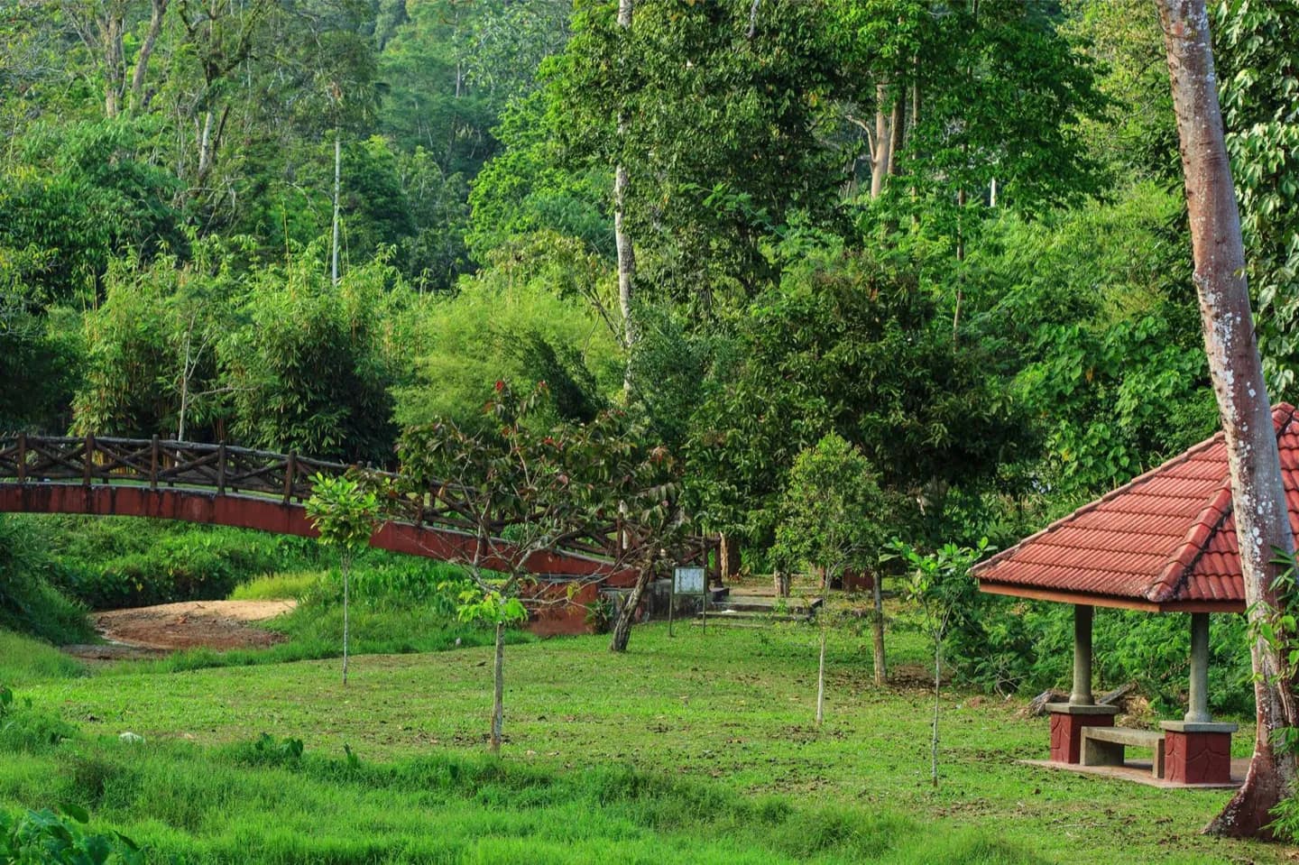 Jardim Botânico de Penang