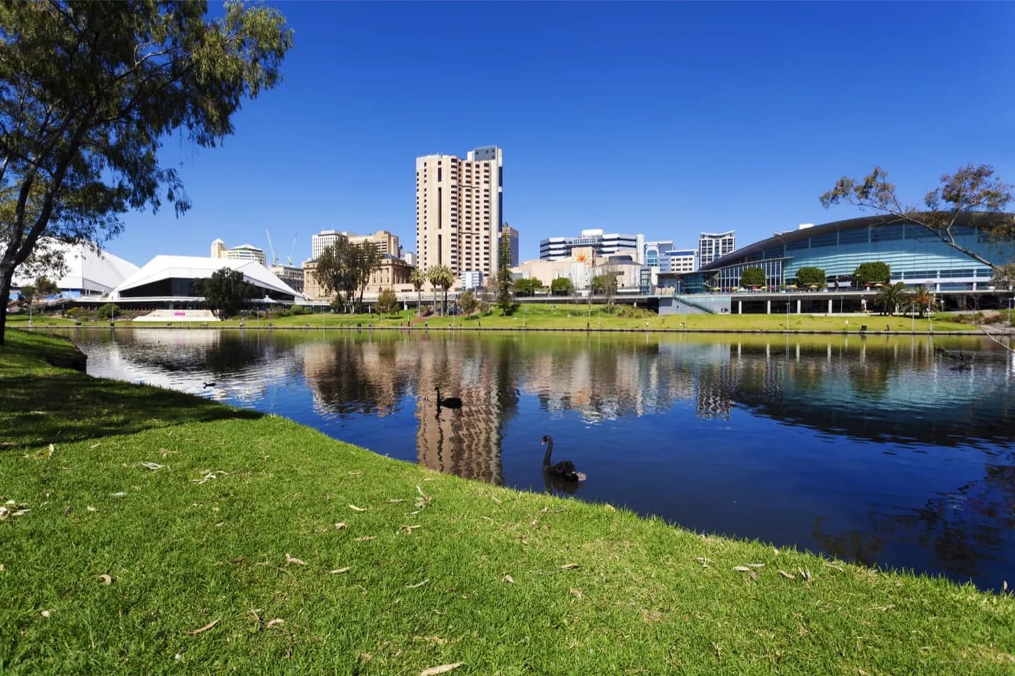 Adelaide · 2