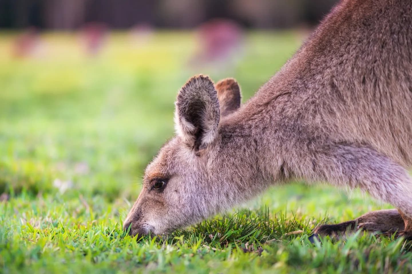 Zentrale Küste · 2