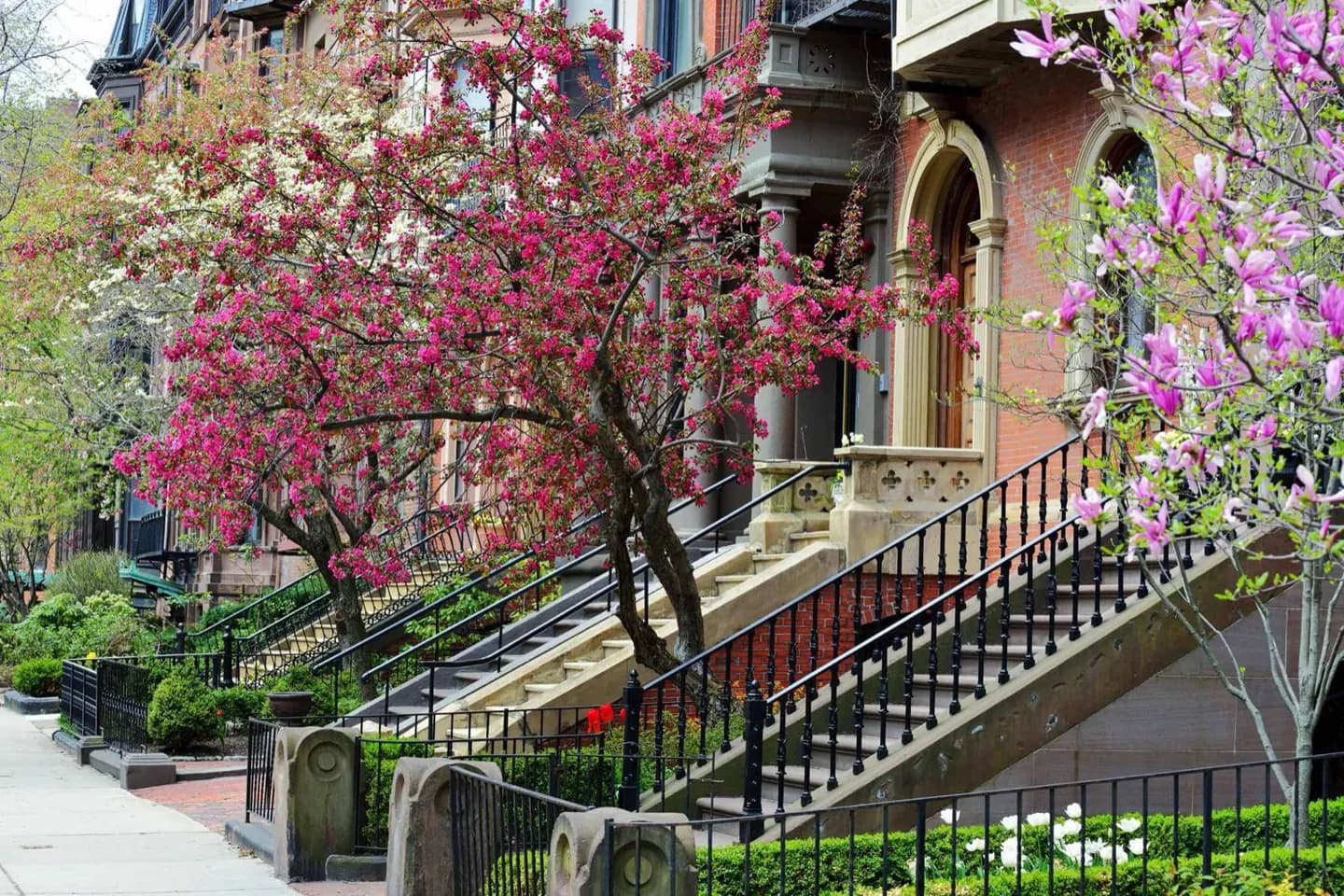 Powelton Village