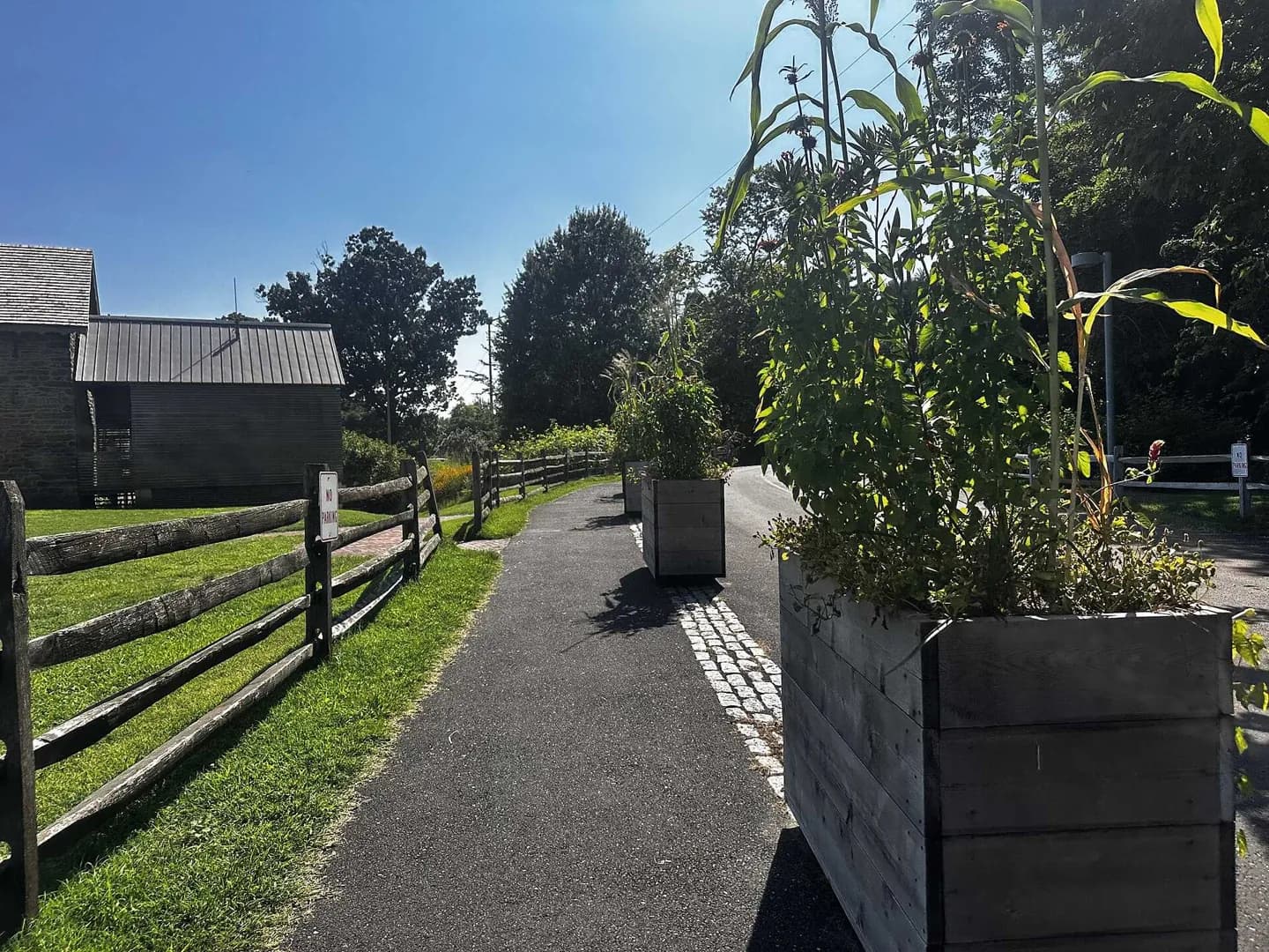 Le jardin de Bartram