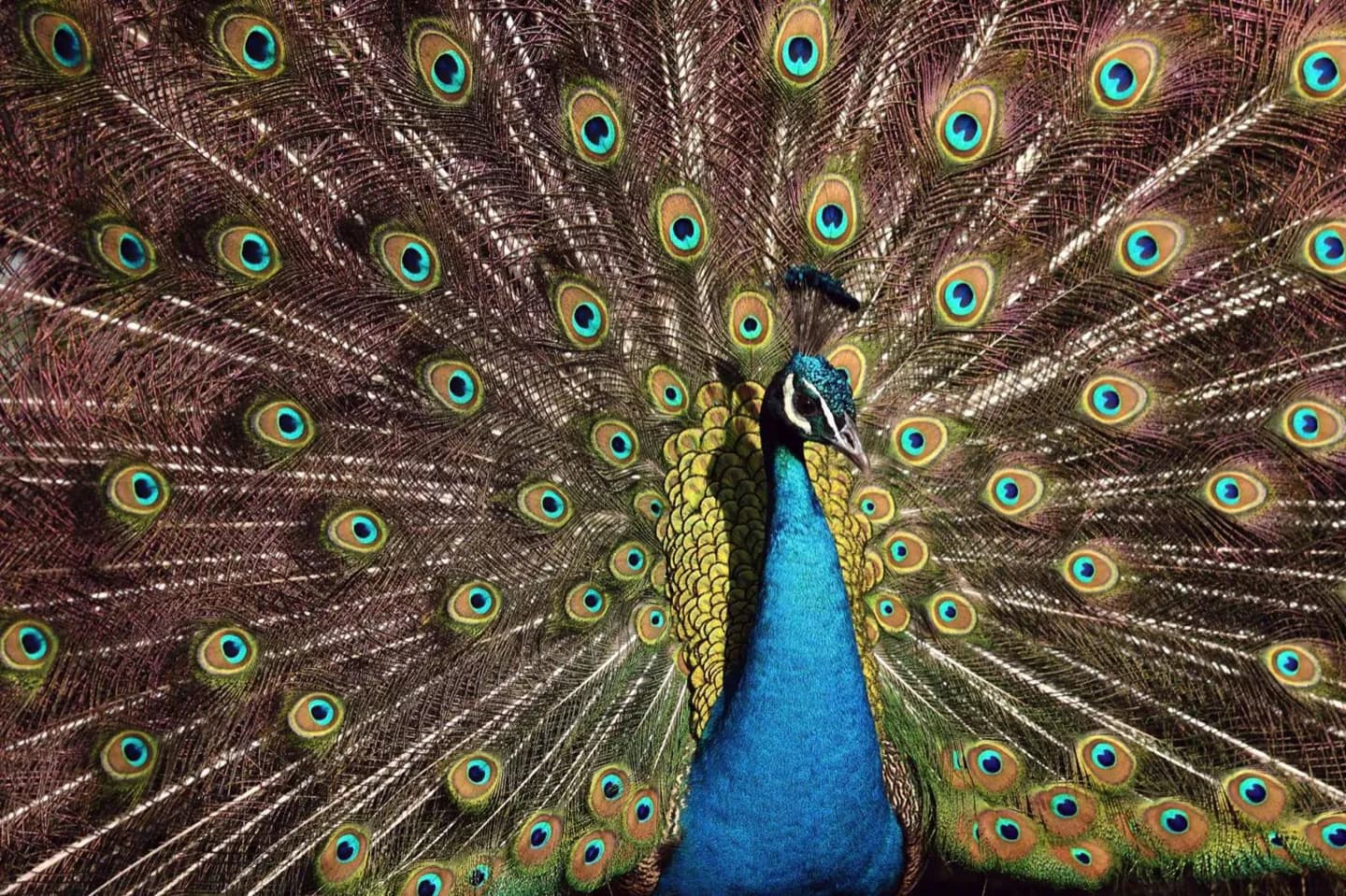Philadelphia Zoo