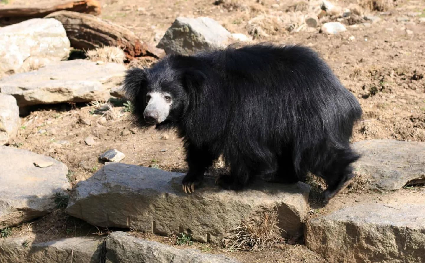 Philadelphia Zoo · 2