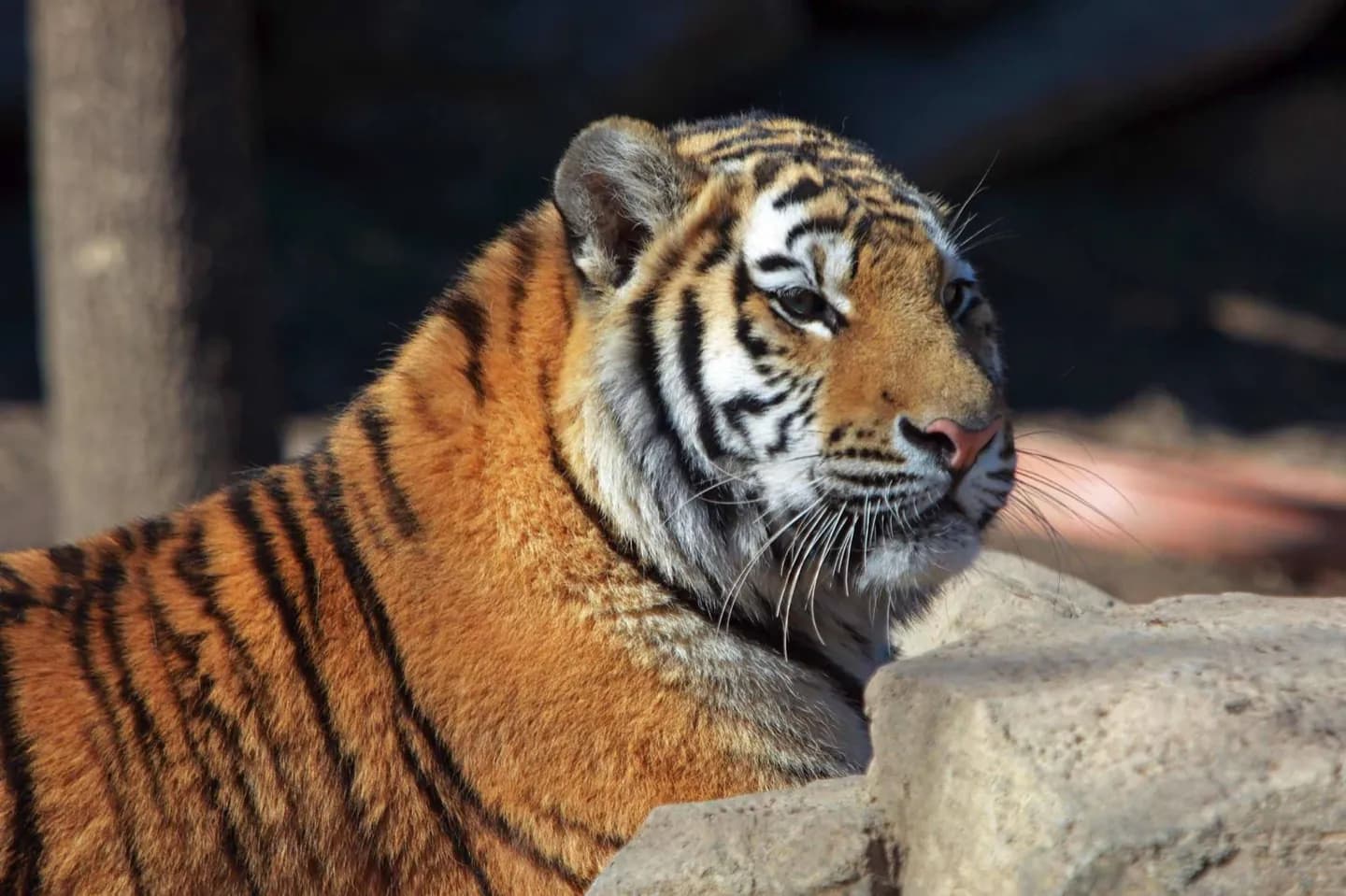 Philadelphia Zoo · 3