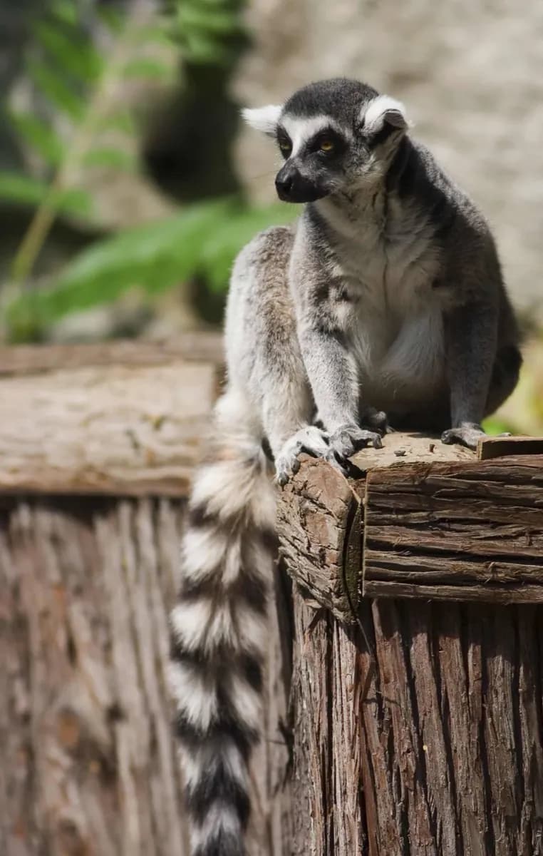 Philadelphia Zoo · 4