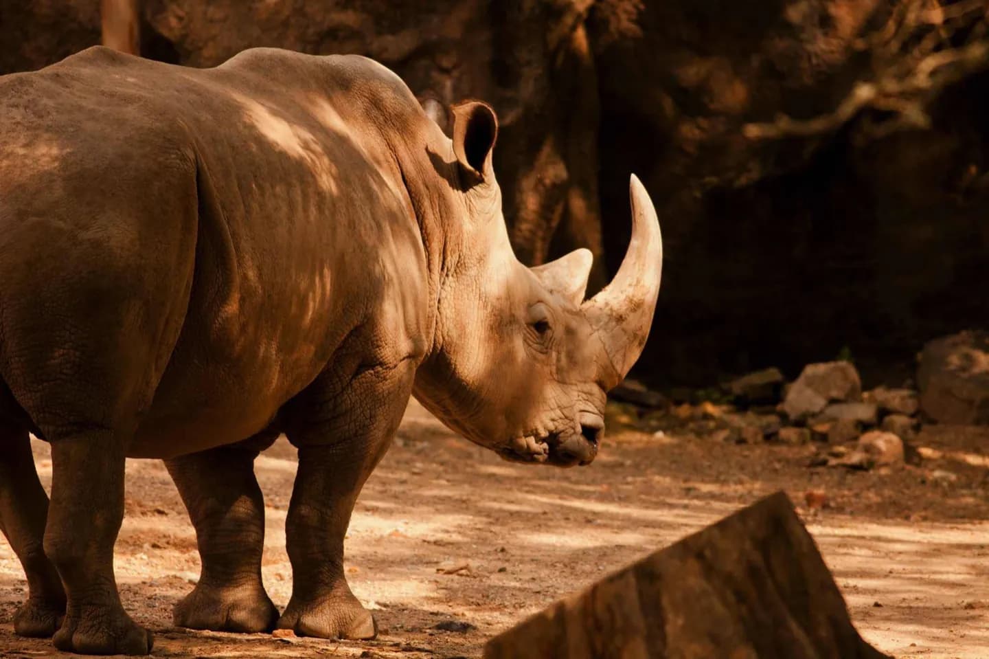 Philadelphia Zoo · 5