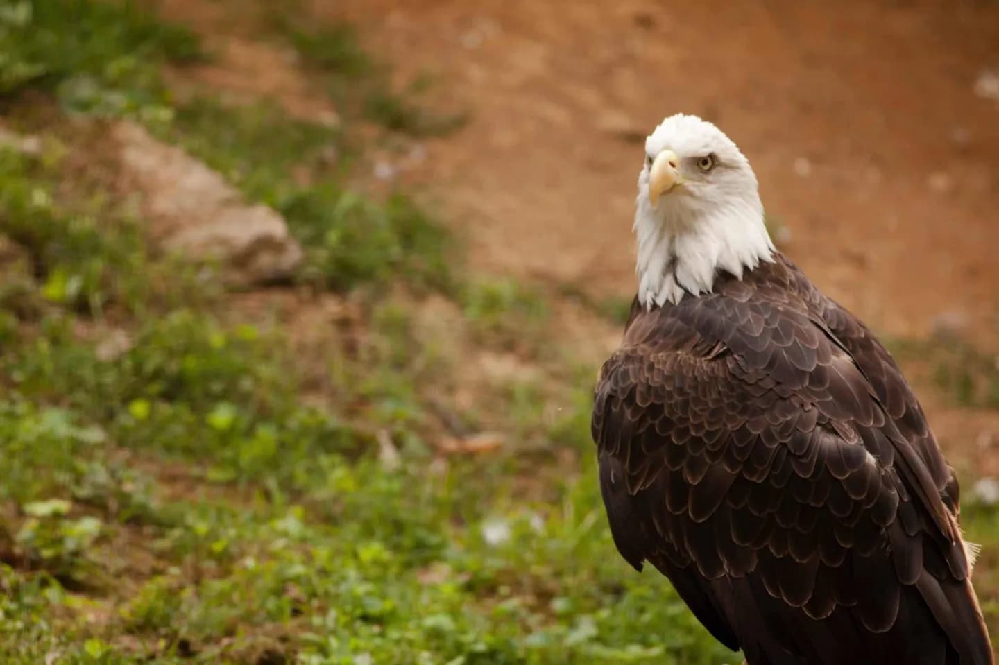 Philadelphia Zoo · 6