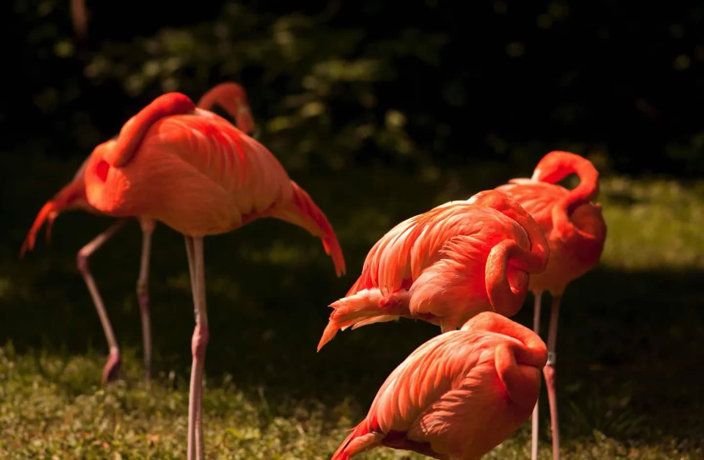 Philadelphia Zoo · 7