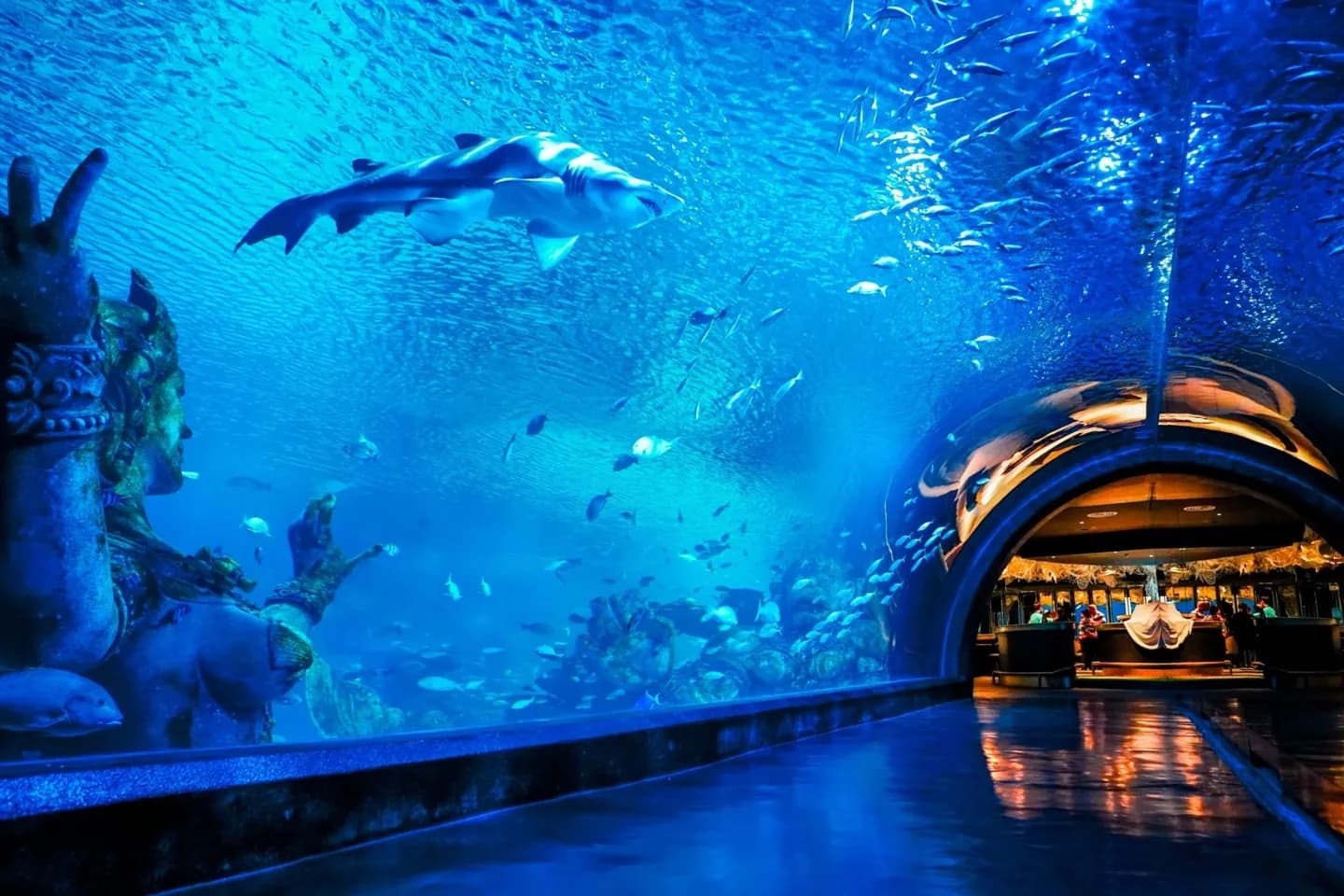 Acquario di Phuket