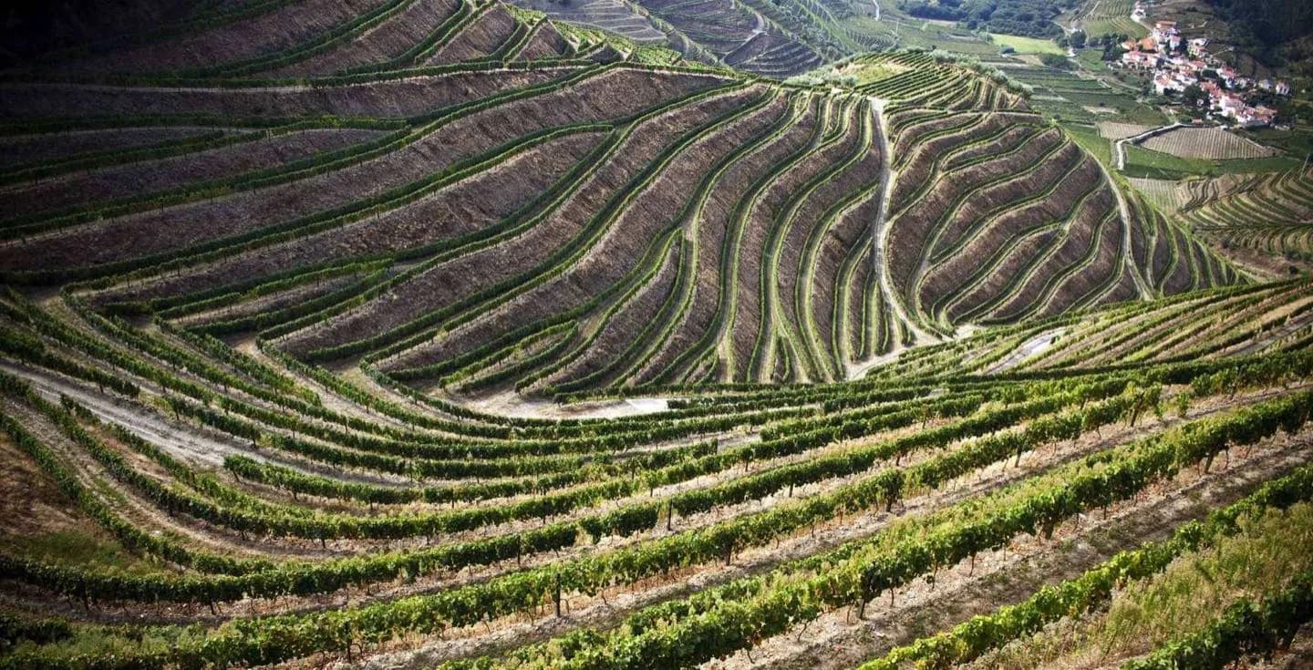 Géographie et climat de Porto