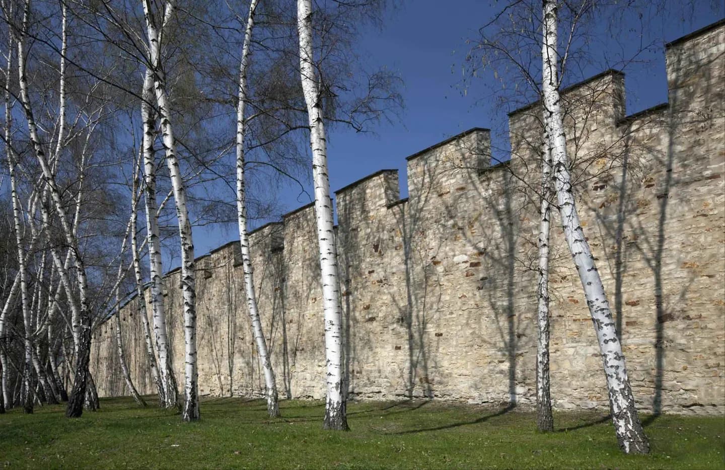 Mur de la faim · 2