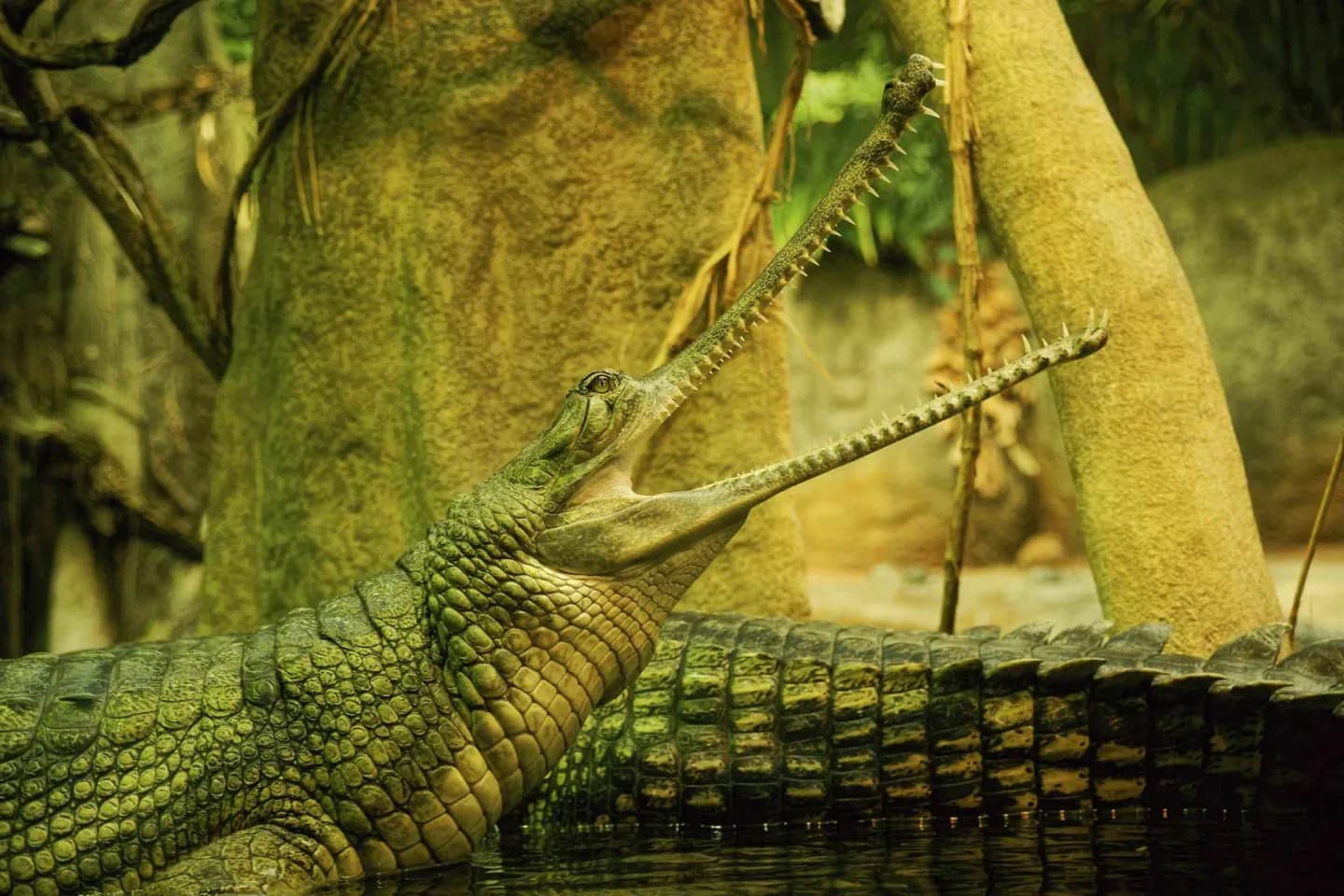 Zoo de Prague · 3