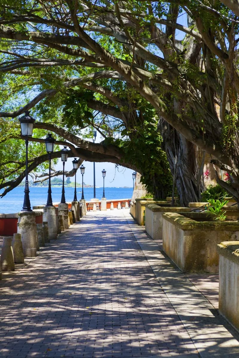 Isla Verde