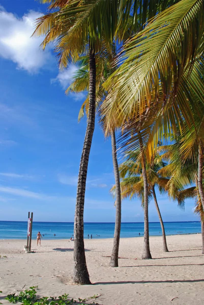 Isla Verde · 2